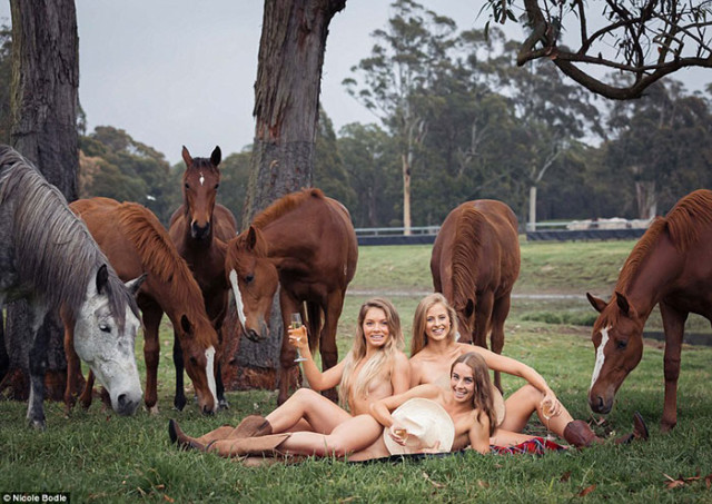 [Imagen: calendrier-sexy-veterinaire-5-640x453.jpg]