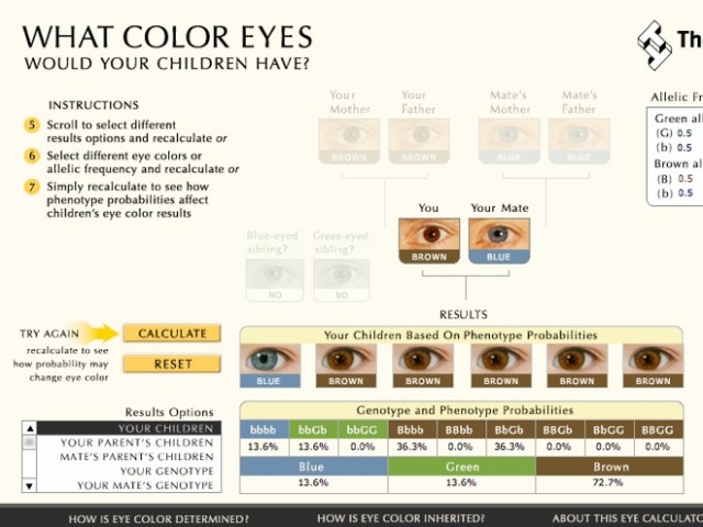Quelle sera la couleur des yeux de vos enfants ?
