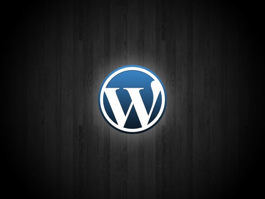  Vite, passe ton Wordpress en 3.0.4 !