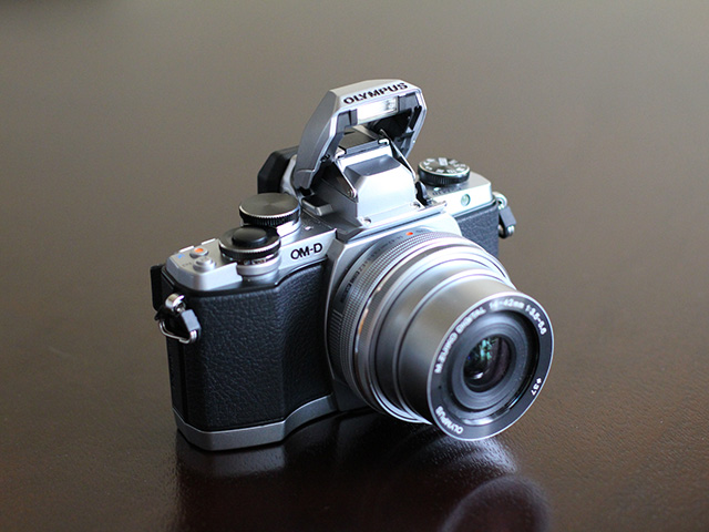 Olympus OM-D E-M10 - image 5