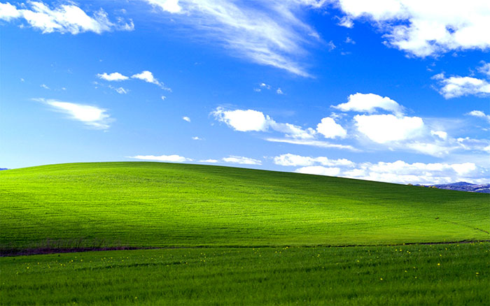 Parts de marché Windows XP