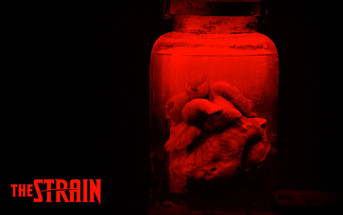  The Strain : une vidéo pour la seconde saison