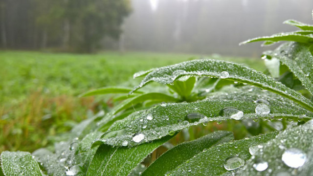 Photo prise avec Lumia 950 2