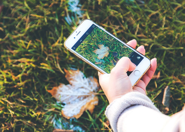 iPhone OLED