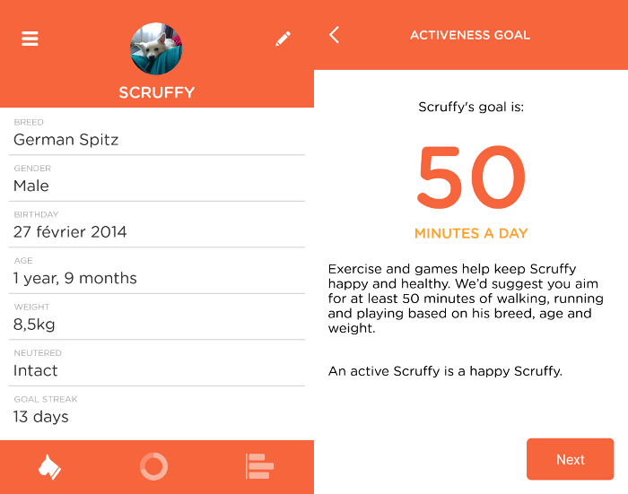 L'objectif quotidien de Scruffy selon le PitPat