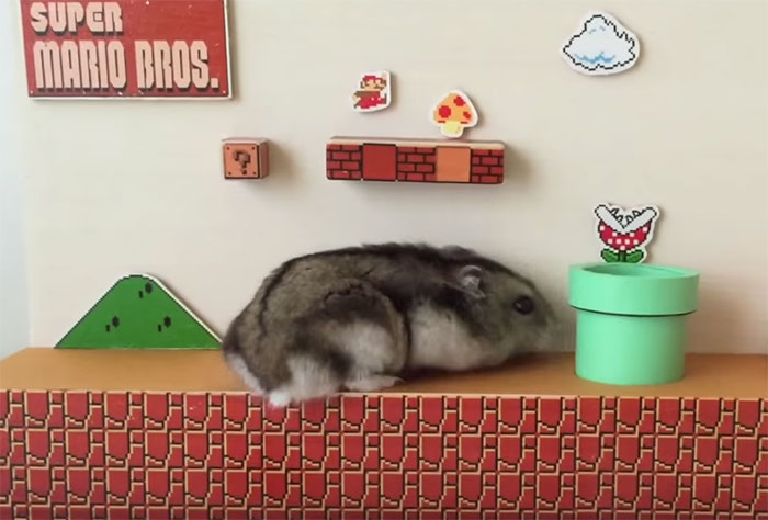 Super Mario Bros Hamster