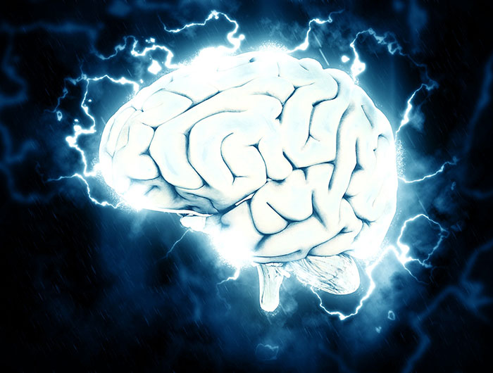  Les neuroscientifiques à deux doigts de créer des mini cerveaux conscients