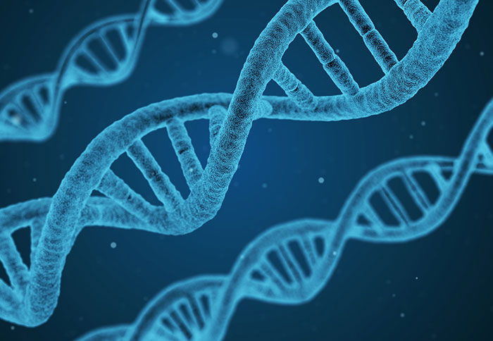  Un scientifique veut devenir un surhomme en modifiant son ADN