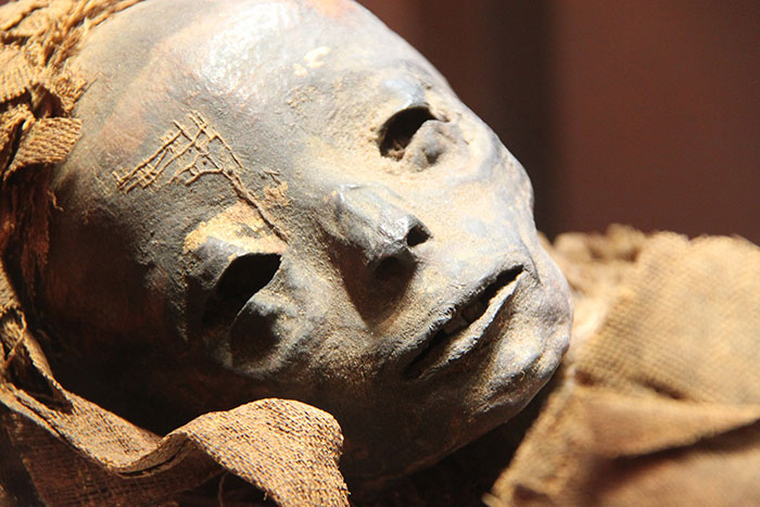  Une momie très bien conservée a été découverte en Egypte
