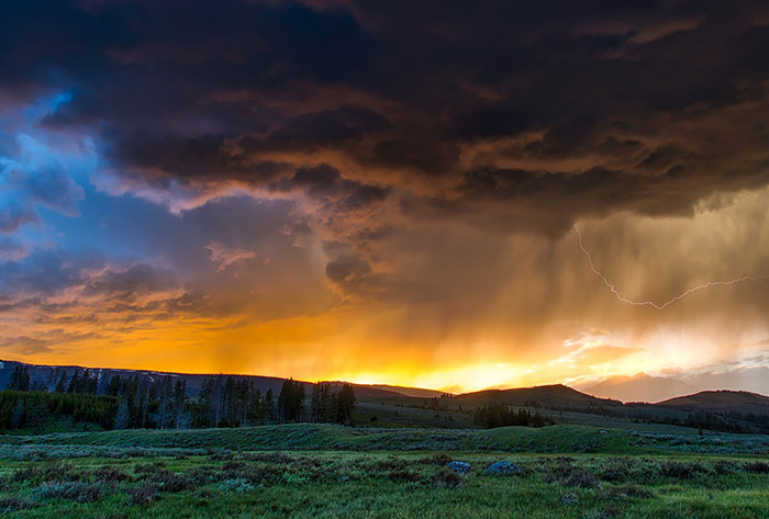 Yellowstone