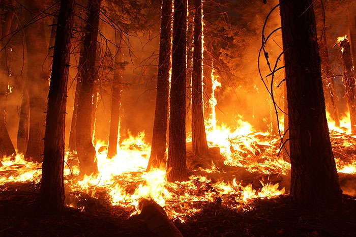  Quand Google Maps, Apple Maps et Waze dirigent les Californiens vers des incendies