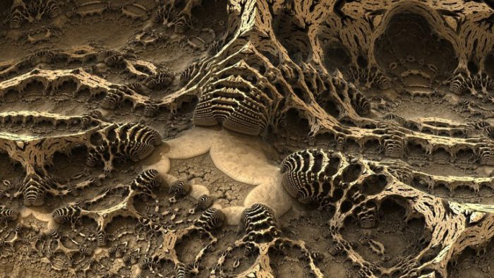  Un fossile de reptile marin retrouvé par des mineurs au Canada