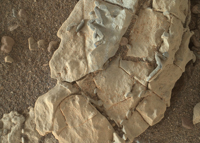 Mars Fossile