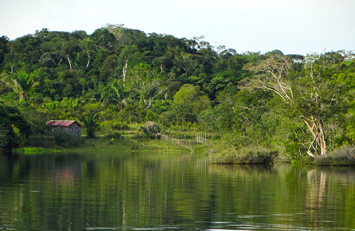  L’Amazonie était finalement plus peuplée que prévue