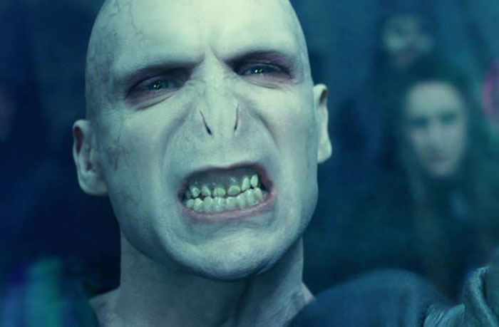  Harry Potter : une théorie sur la mère de Voldemort