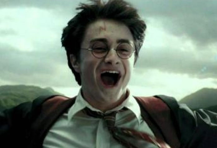  Harry Potter : bientôt une suite, avec le casting original ?
