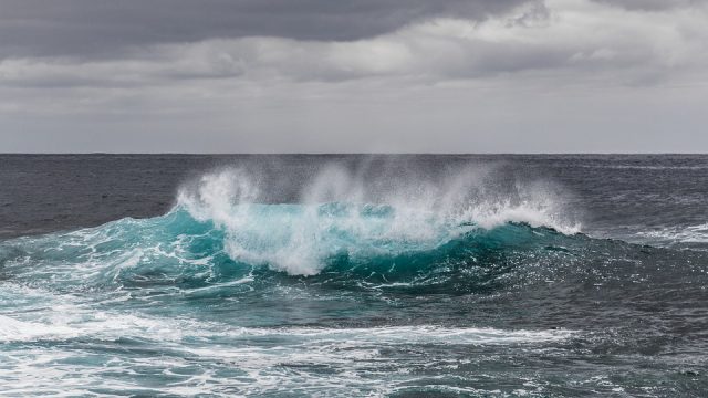 L'ONU soutient un plan visant à créer une ville flottante capable de résister aux éléments