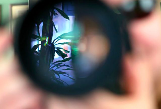 stalking