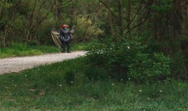 Mais que fait cette mouche géante sur Google Maps ?