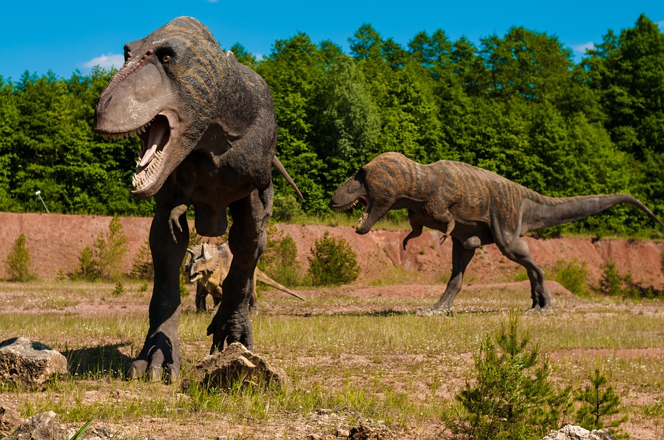  Faites connaissance avec le Majungasaurus, un specimen désormais célèbre pour ses dents