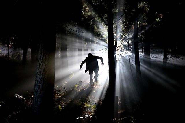 Un Vampire courant en pleine forêt