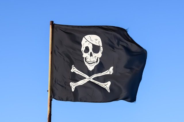 Le piratage fait toujours des émules