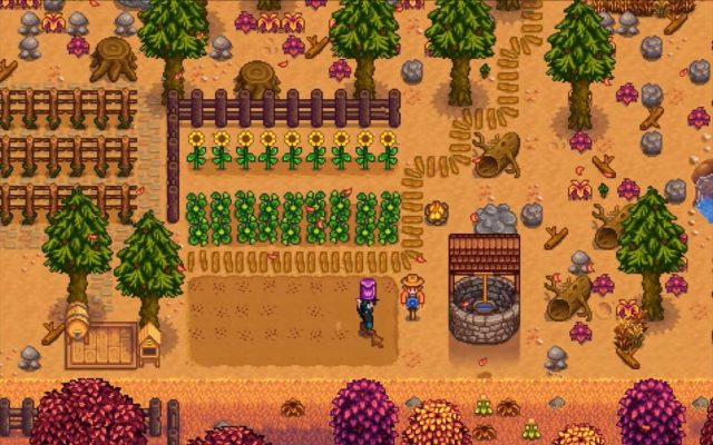 Une capture de stardew valley