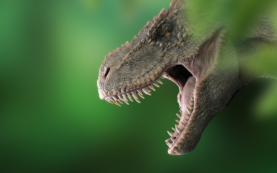 Un mystère au sujet des dinosaure mis en exergue par leurs coquilles d’oeuf