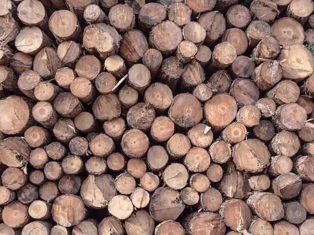 Une pile de rondins en bois