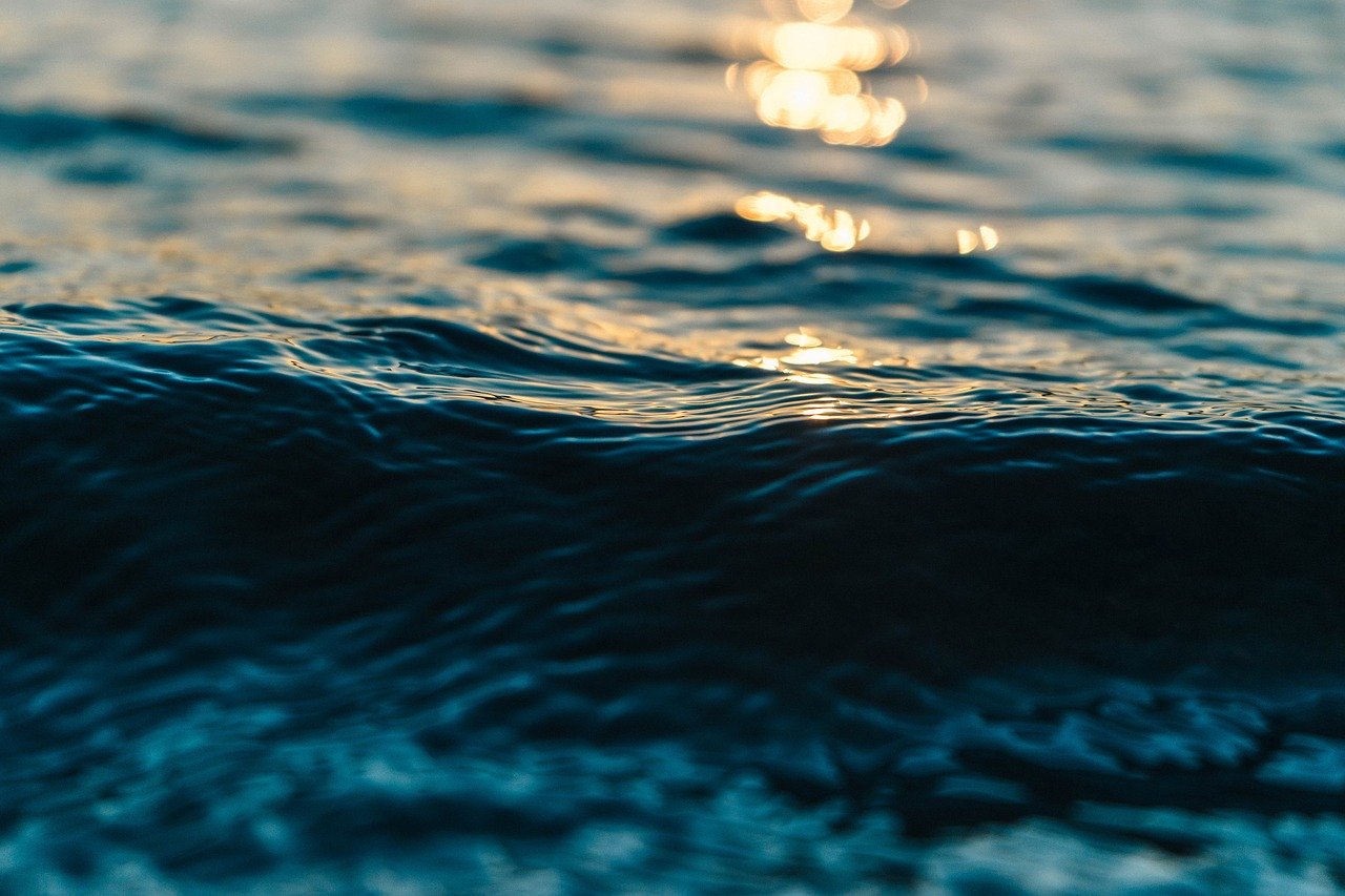 La photo d'une étendue d'eau