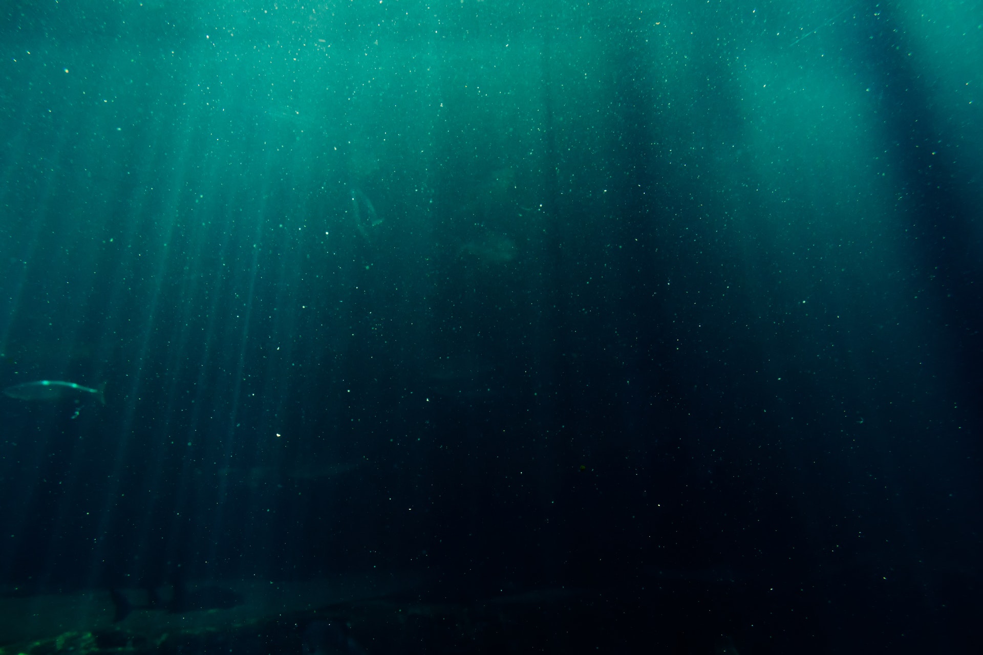 Une photo symbolisant la profondeur des océans