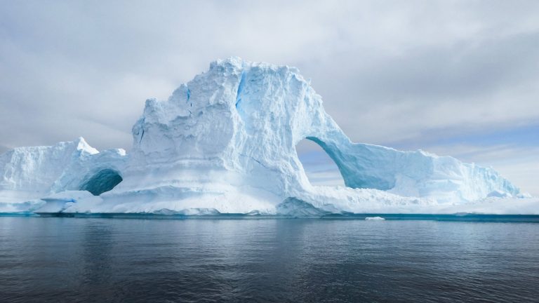 Une photo des iceberg de l'Antarctique