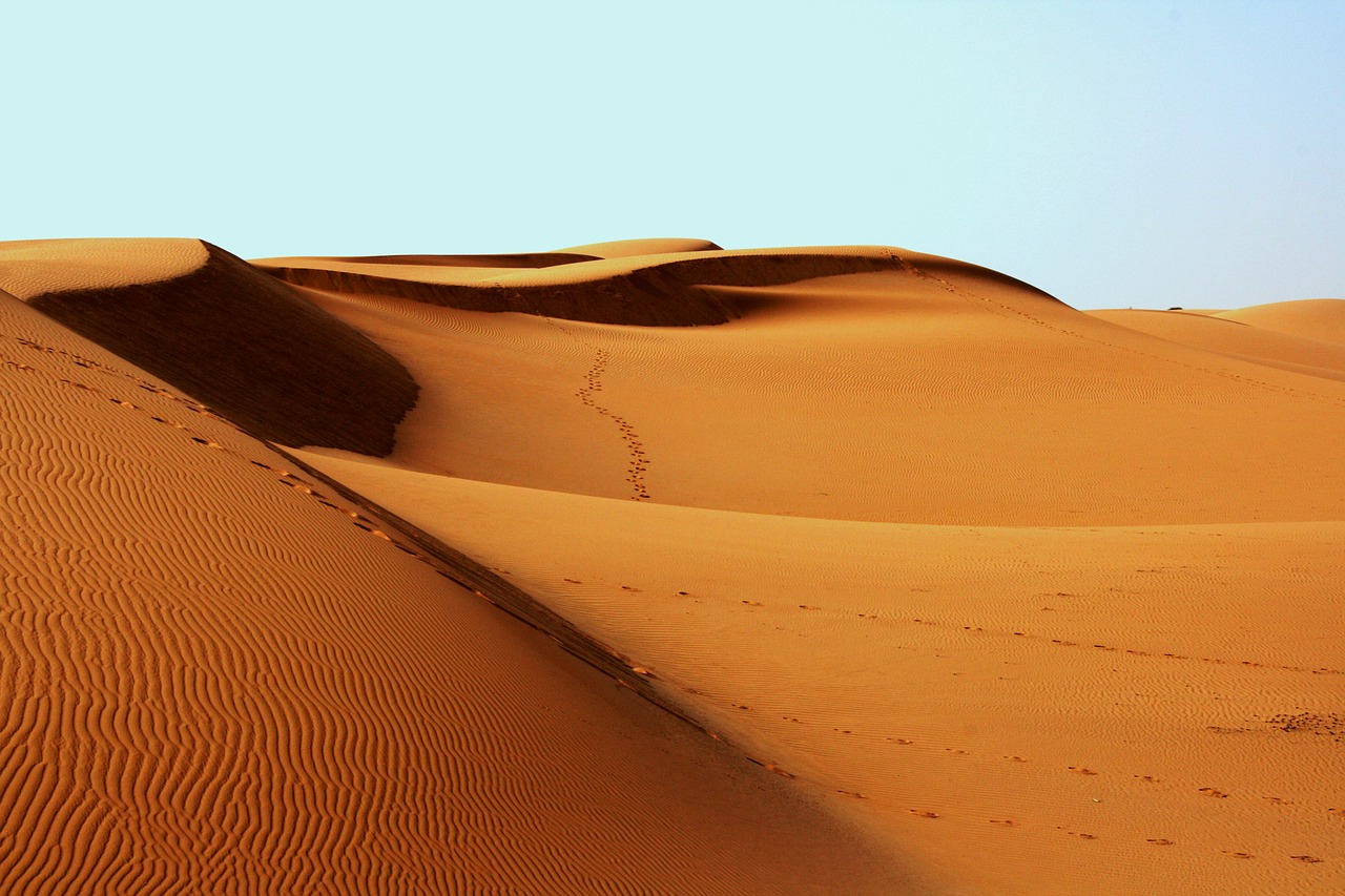 Des empreintes laissées sur les dunes d'un désert