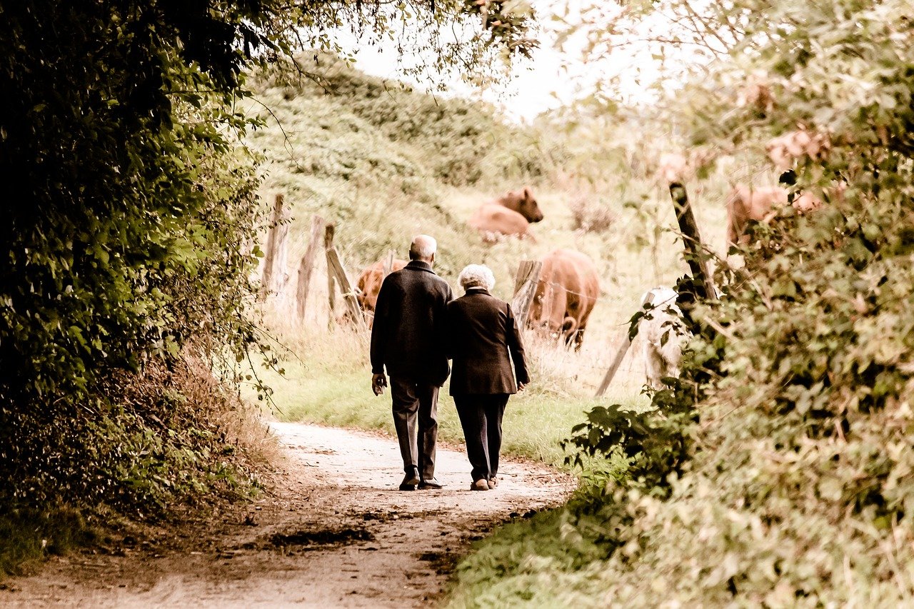 Image par Susanne Pälmer de Pixabay