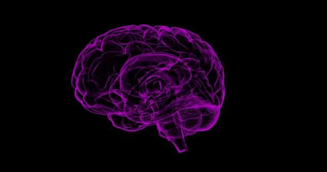 L'illustration d'un cerveau
