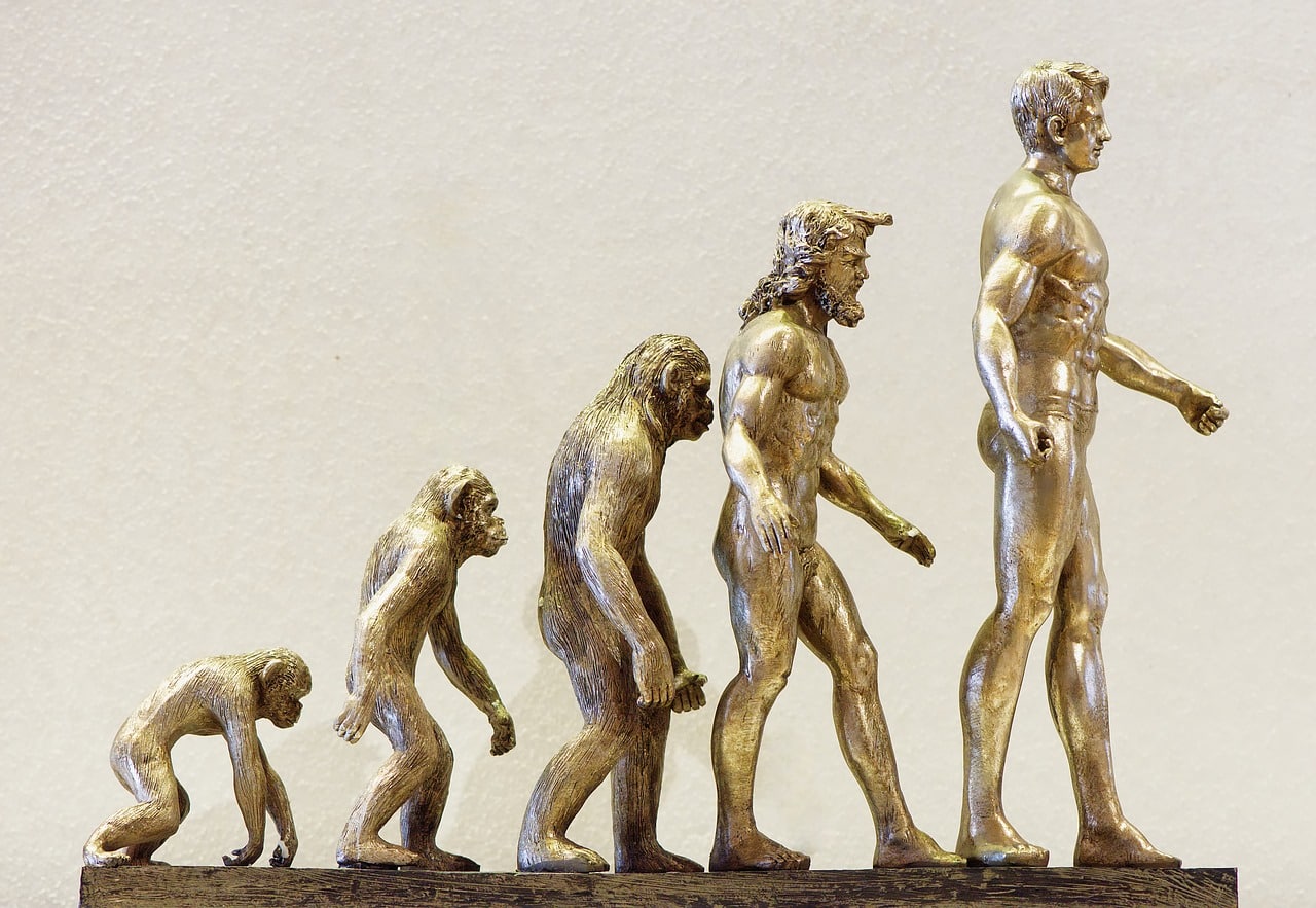 L'évolution en une statuette