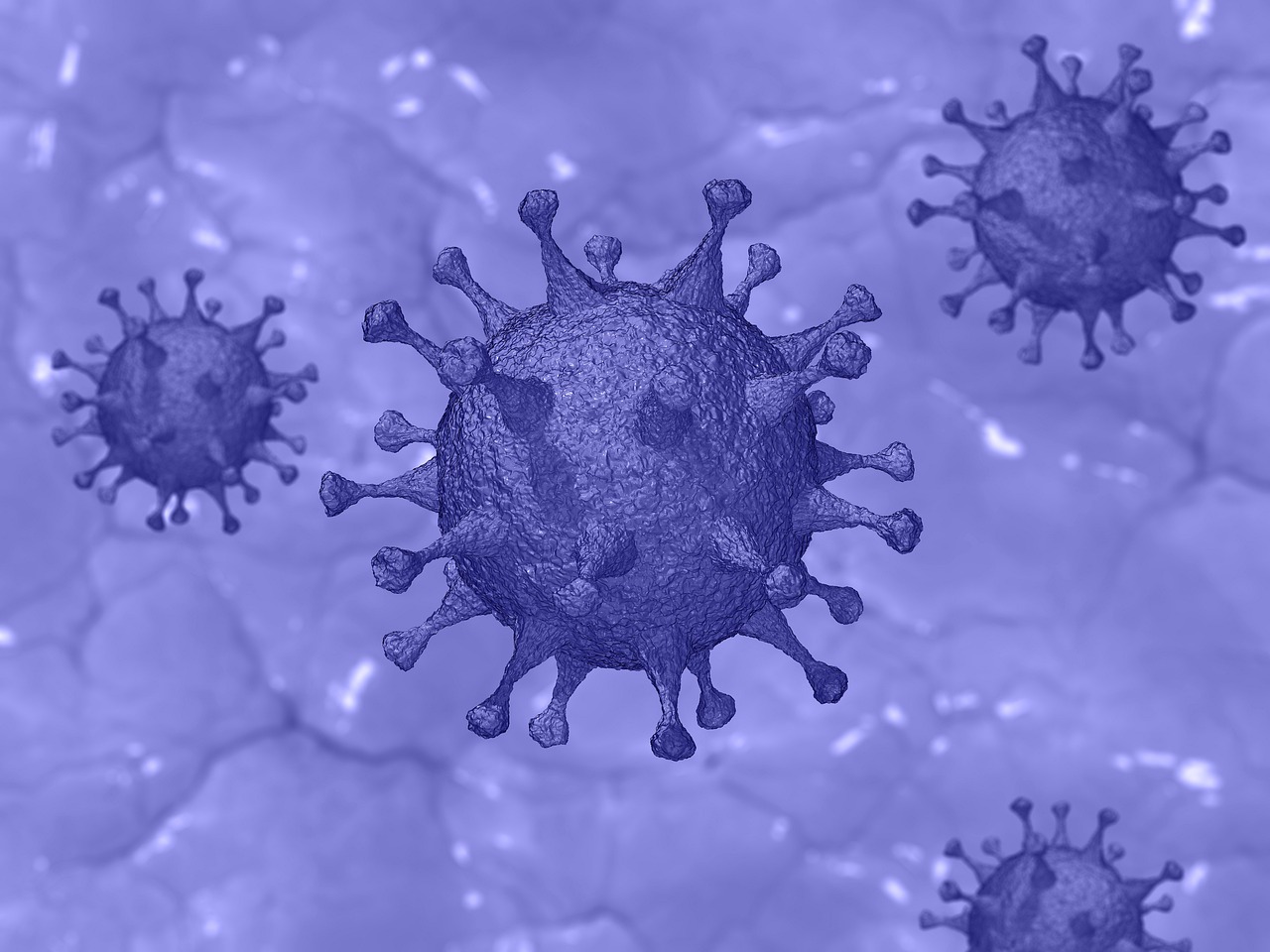 Une image représentant un virus, la protéine en pointes bien visible.