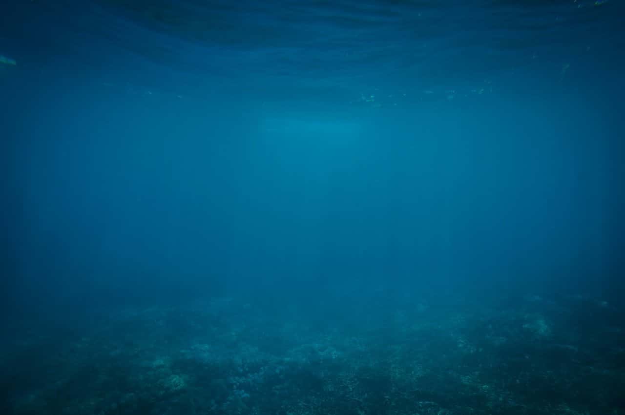 L’autre problème des zones mortes des océans