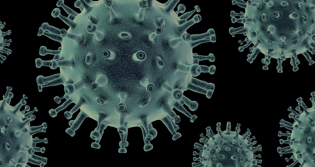 Une photo représentant des virus