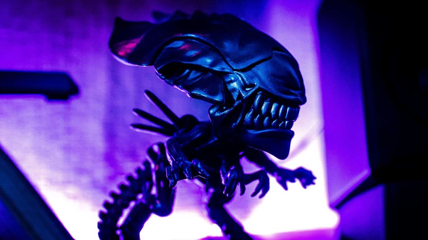 La photo d'un alien