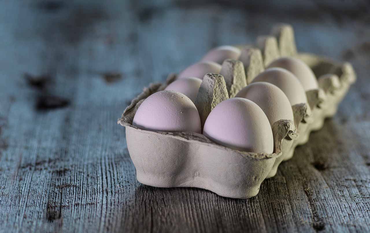Des oeufs dans leur emballage