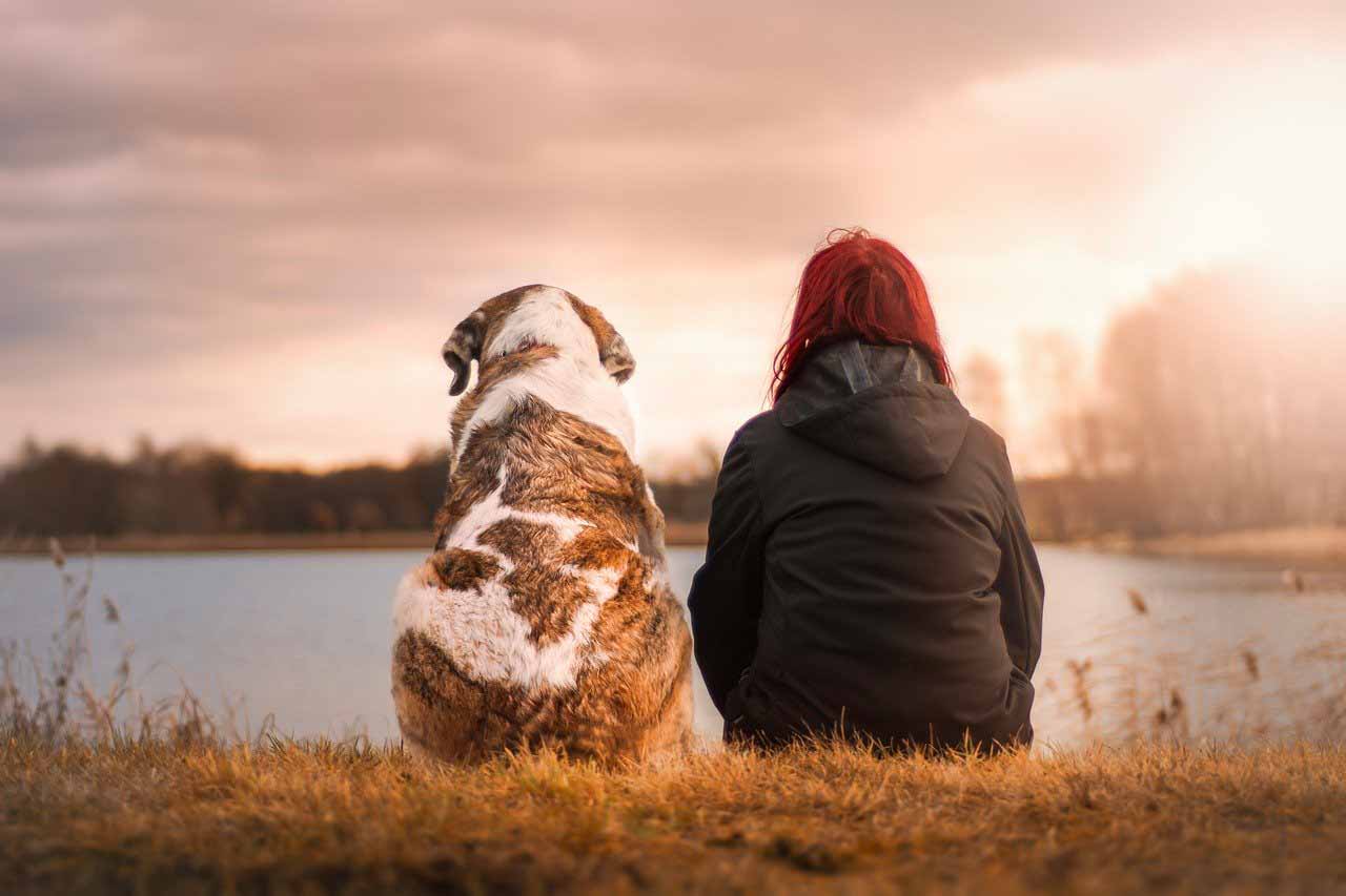 Deux amis pour la vie