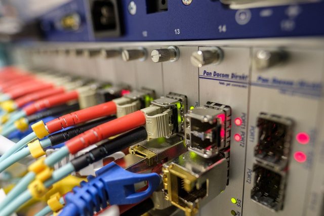 Des câbles Ethernet branchés sur un switch
