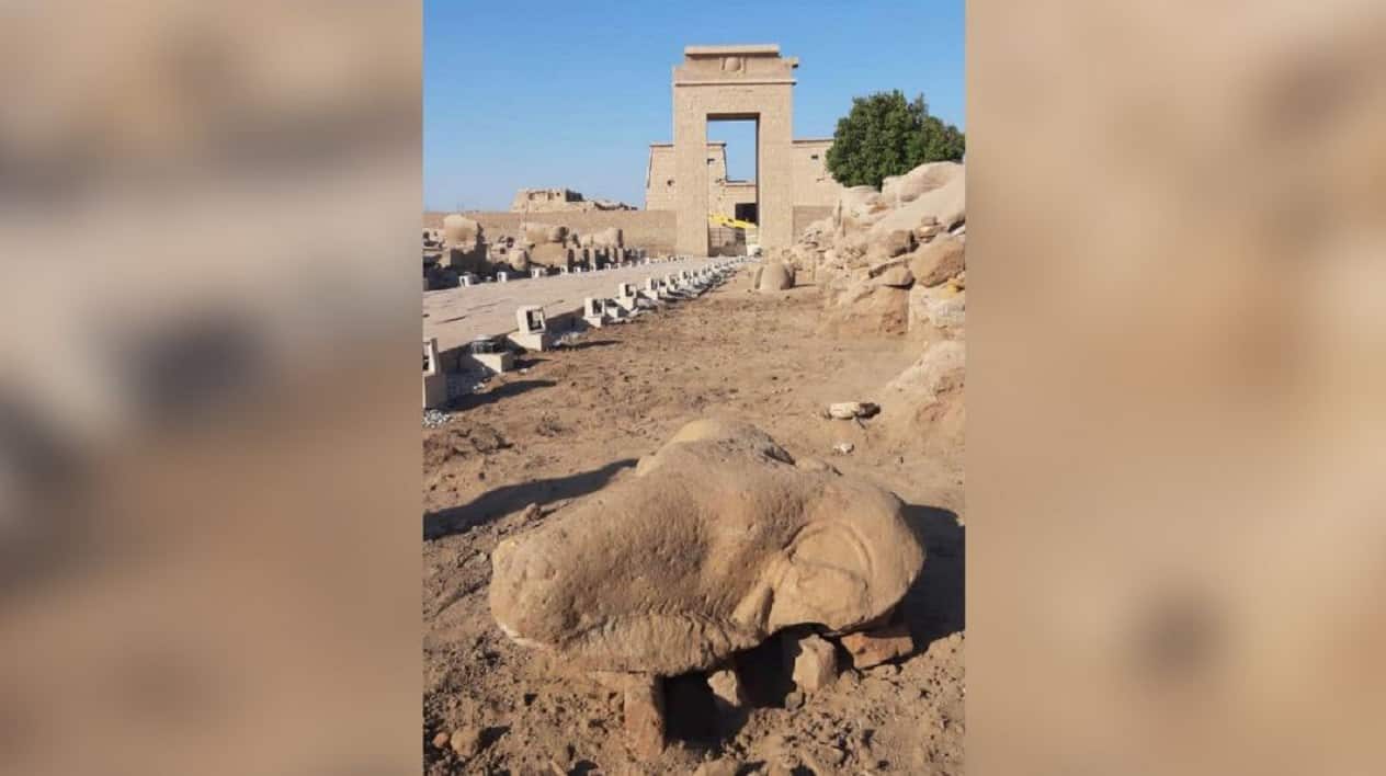Tête de bélier découvert en Égypte