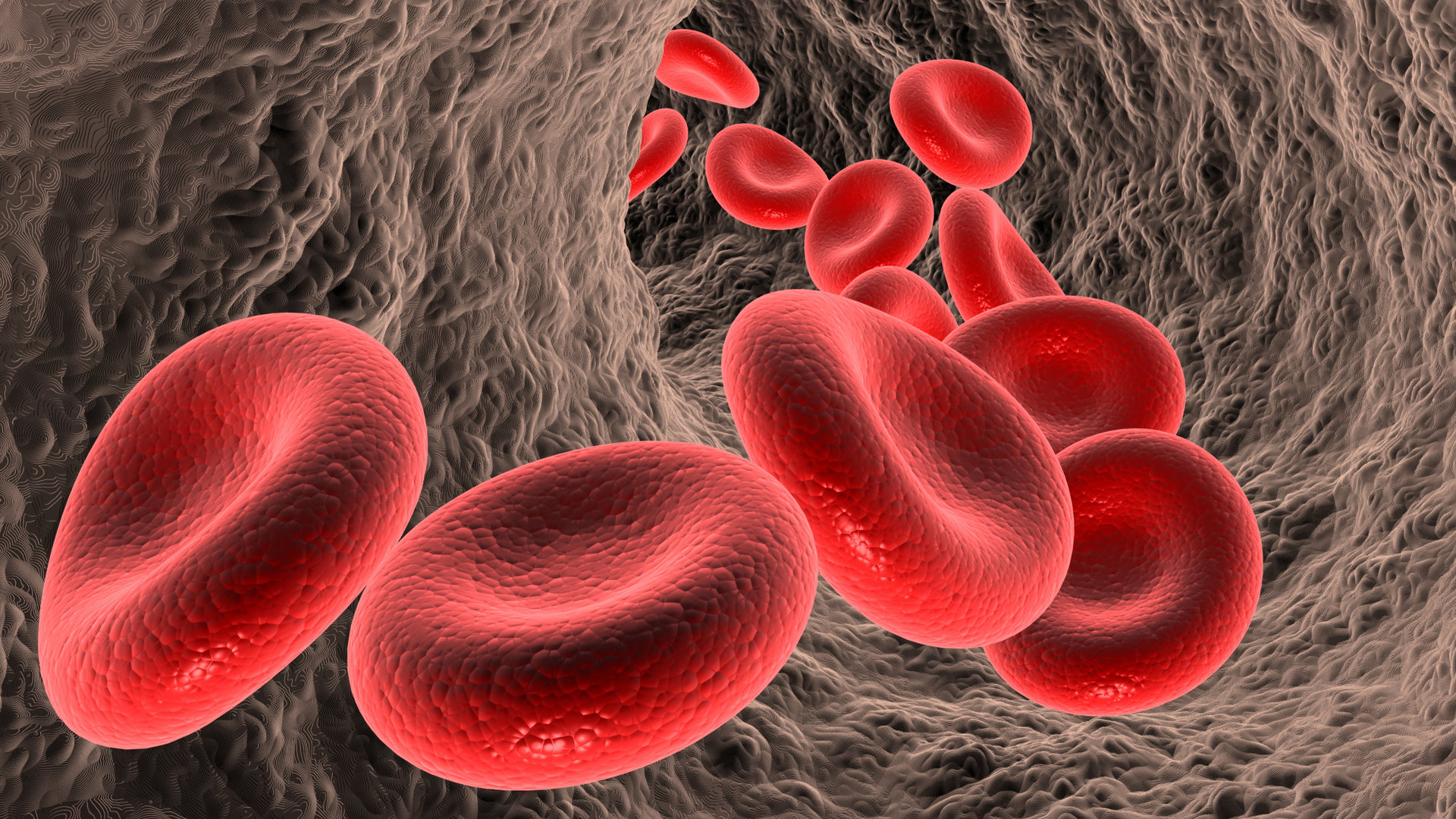 Des cellules immunitaires entrain de combattre un cancer