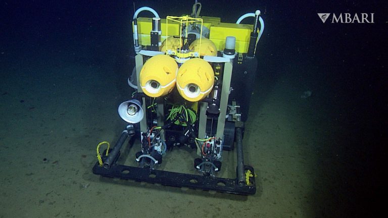 Le Benthic Rover II dans les grands fonds marins.