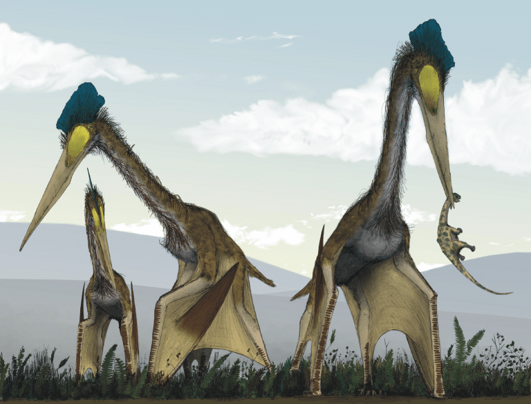 Reconstitution du Quetzalcoatlus