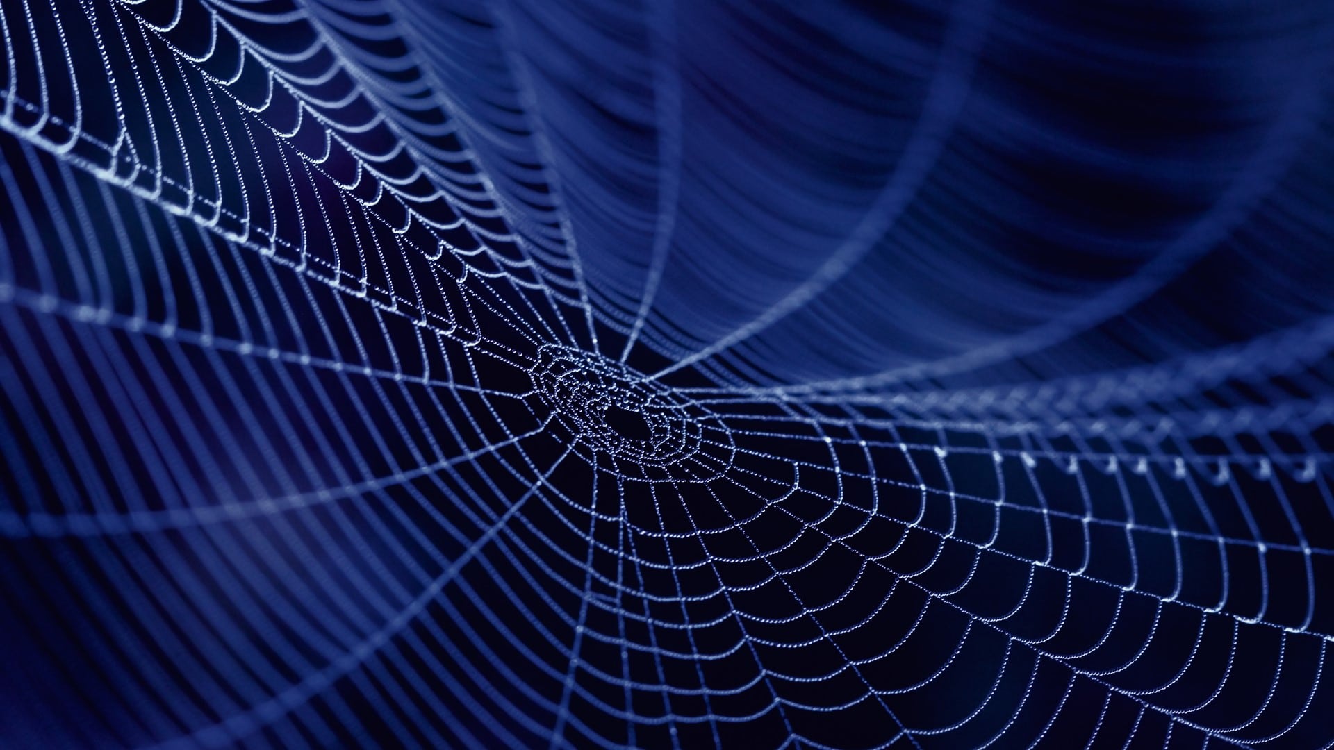 Une toile d’araignée a permis de créer un capteur à nanopuce particulièrement précis