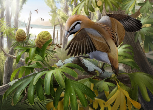 Cet oiseau de l’époque des dinosaures disposait d’une longue langue osseuse