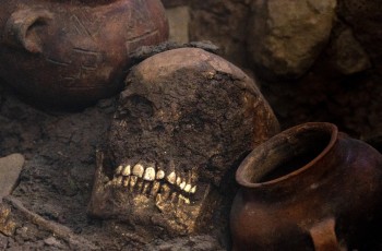 Des restes humains sous terre